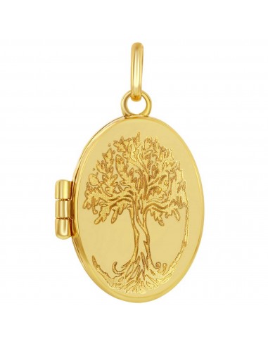 Classic Gold+ Women's Locket - 14K Yellow Gold Tree of Life Oval | 14J-203 français