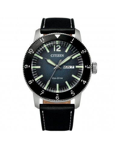 Citizen Men's Watch - Eco-Drive Blue Dial Black Strap Power Reserve | AW0077-19L de la marque