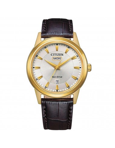 Citizen Men's Watch - Eco-Drive Silver Dial Brown Genuine Leather Strap | AW0102-13A offre 