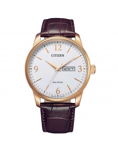 Citizen Men's Watch - Eco-Drive White Dial Brown Leather Strap Day-Date | BM8553-16A basket pas cher