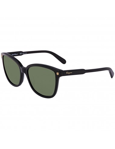 Salvatore Ferragamo Unisex Sunglasses - Green Lens Black Square Frame | SF815S 001 Les êtres humains sont 