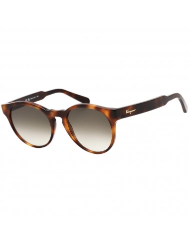 Salvatore Ferragamo Women's Sunglasses - Brown Gradient Lens Tortoise | SF1068S 240 de technologie