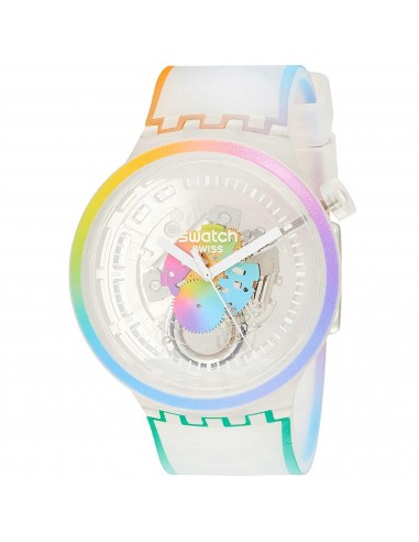 Swatch Unisex Watch - Celebrating Life Since '83 Let's Parade Swiss Quartz | SO27E107 pas cheres